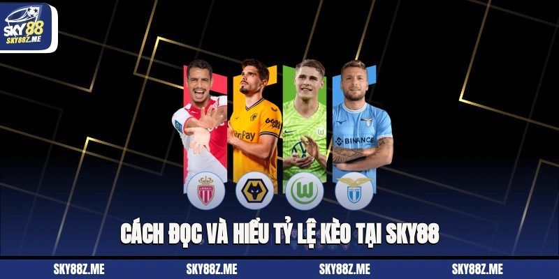 Cách đọc và hiểu tỷ lệ kèo tại Sky88