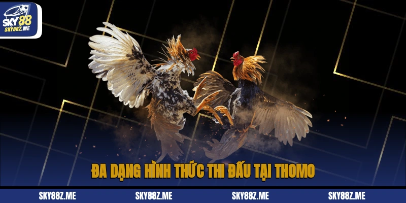 Đa dạng hình thức thi đấu tại Thomo