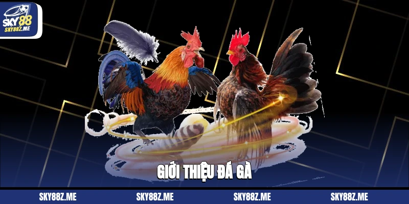 Giới thiệu Đá gà