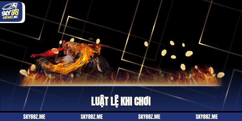 Luật lệ khi chơi