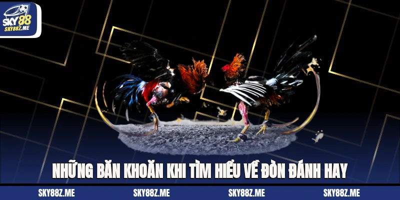 Những băn khoăn khi tìm hiểu về đòn đánh hay