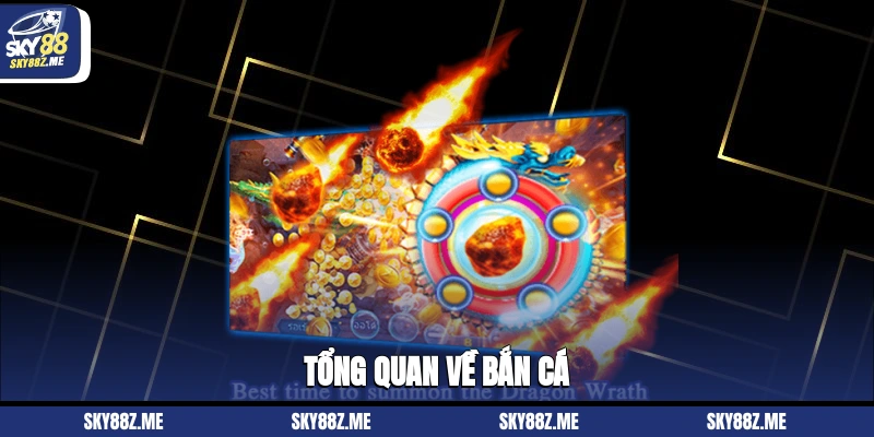 Tổng quan về bắn cá