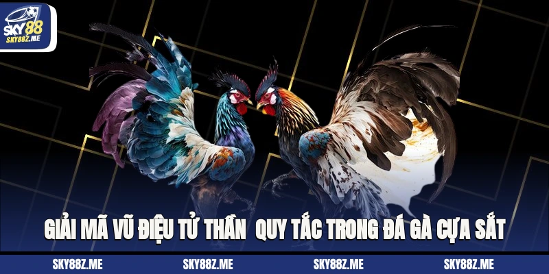 Giải Mã Vũ Điệu Tử Thần - Quy Tắc Trong Đá Gà Cựa Sắt